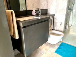 OUE Twin Peaks (D9), Condominium #603705191